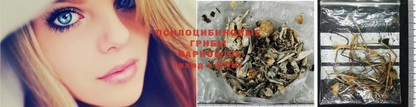 винт Бородино